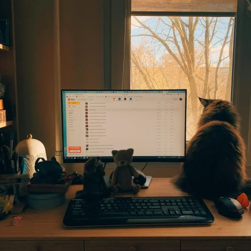 pexels-pit0chka-10416213